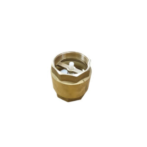 Ανεπίστροφη βαλβίδα ορειχάλκινη 3''