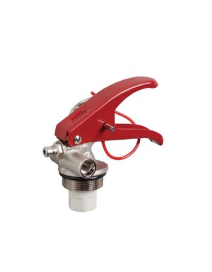 Valve assembly for 2lt foam fire extinguishers