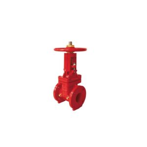 OS&Y Gate valve 2 1/2''