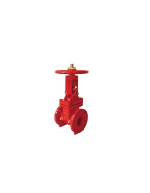 OS&Y Gate valve 4’’
