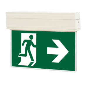 Ceiling emergency light KLD-22.